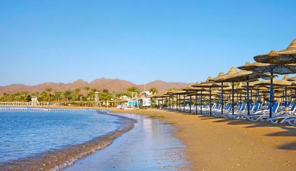 الجافي